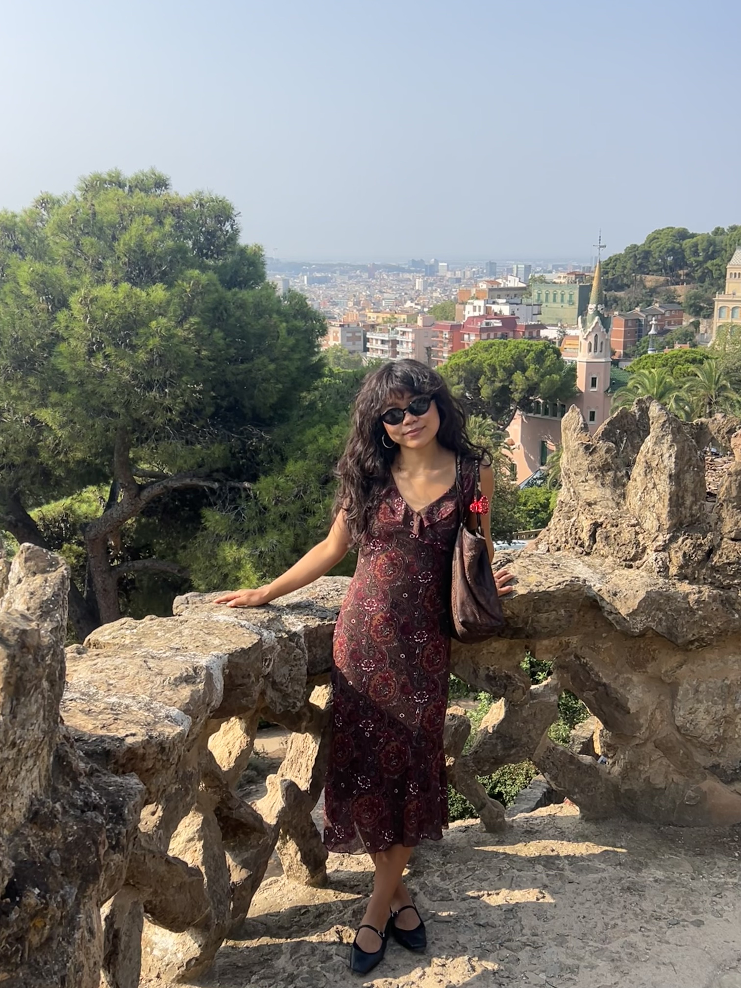 A traveler standing against a scenic backdrop